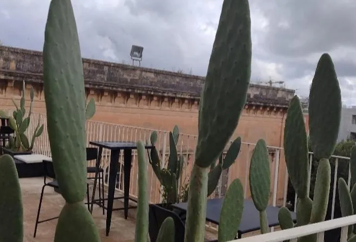 Apollo Theater Palace Exclusive Terrace